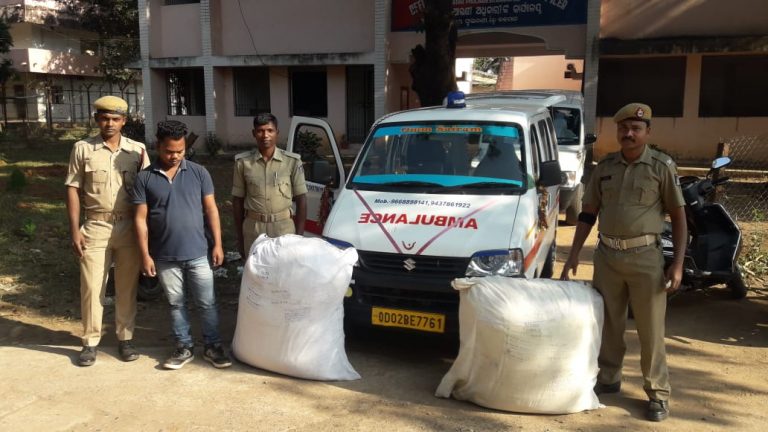 24042f582f2ed5f8d9ce49515aa3a61932237bb67b04ba903018e8edabb8ae6d_1