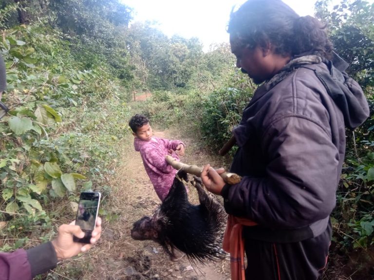 2a37f0651aa5c13447cfcde844b9fdb281fecb84b386f9752ebc806e271399dc_1