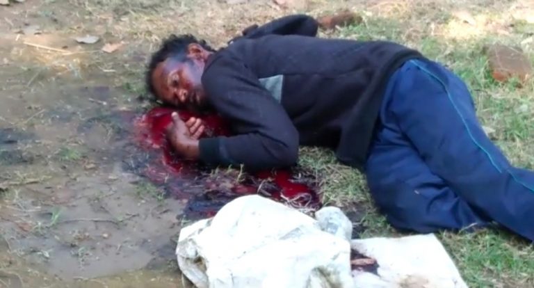 501e47aa2d54baa0a98c70f4890d71a53cec6cab4dcf3412ea341b8be4447398_1