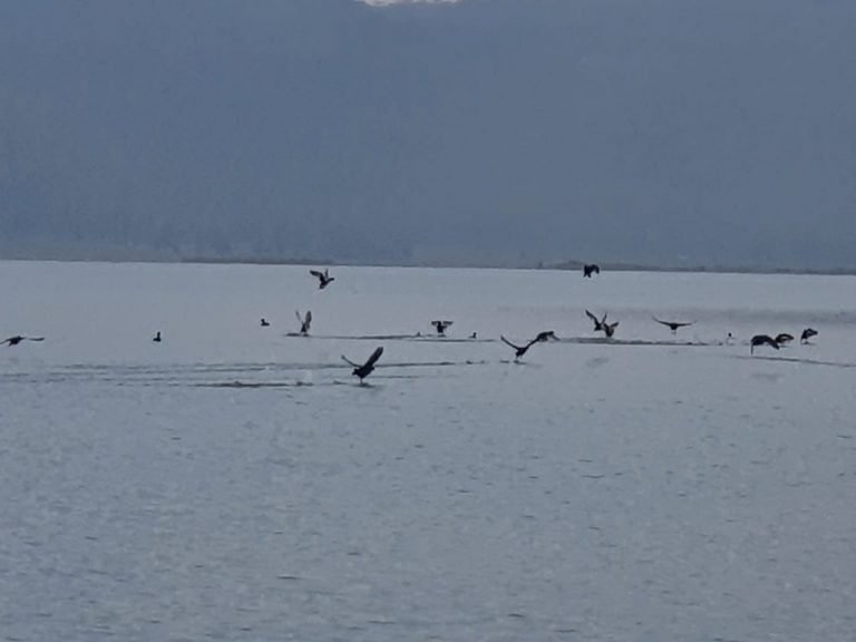 82f39a67602fd5a9112e7f7e3c891a545c013f400e1a704dcf7be7651a1002f5_1