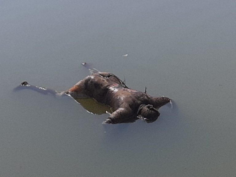 89cfc068-f89e-42d8-ae1b-e52e4677dcb9