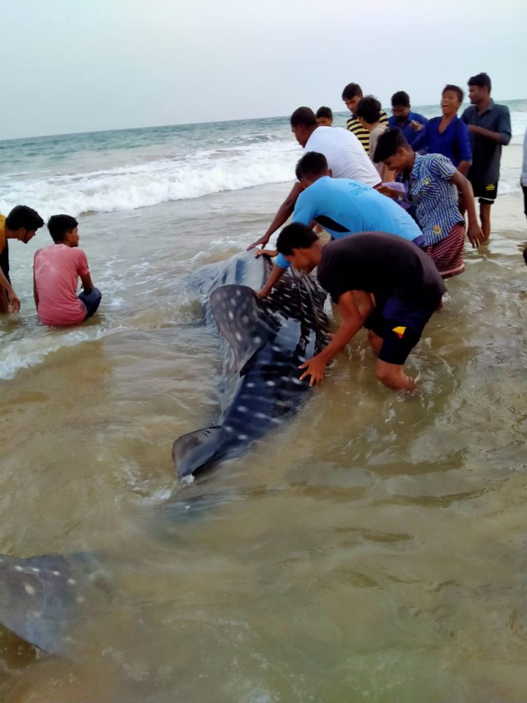 WhatsApp Image 2020-03-02 at 4.51.56 PM