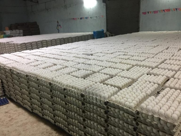 WhatsApp Image 2020-03-19 at 7.23.25 PM