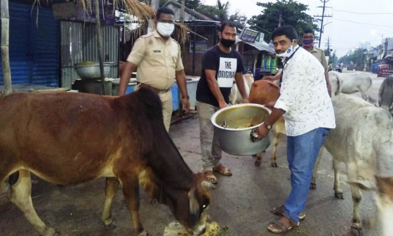 WhatsApp Image 2020-04-16 at 7.10.03 PM