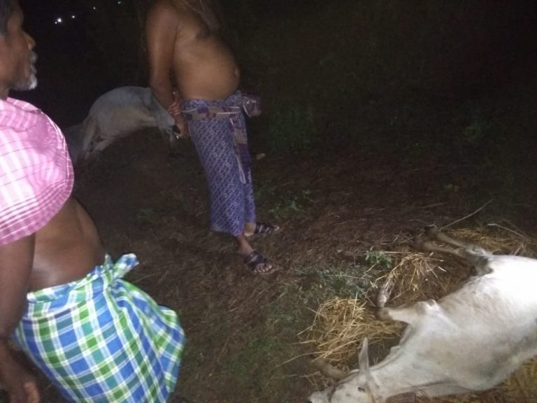 WhatsApp Image 2020-04-24 at 4.00.01 PM