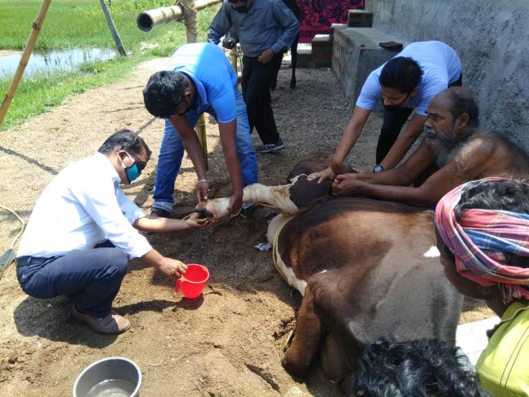 WhatsApp Image 2020-04-27 at 6.15.55 PM