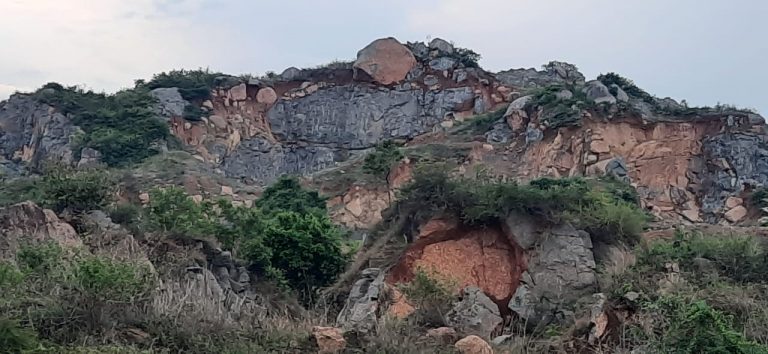 WhatsApp Image 2020-04-28 at 8.37.02 PM