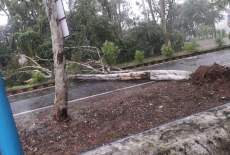 WhatsApp Image 2020-05-20 at 11.32.21 AM