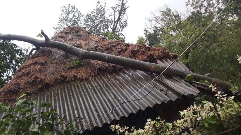 WhatsApp Image 2020-05-20 at 9.08.36 PM