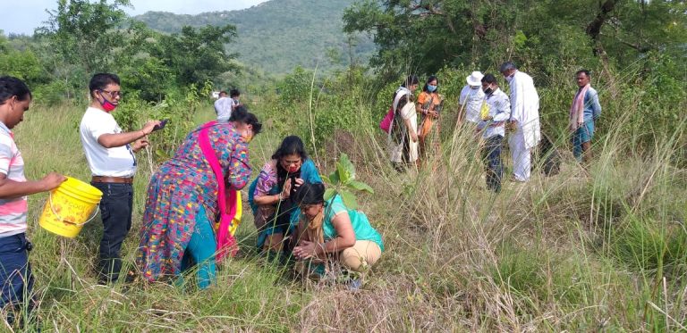 WhatsApp Image 2020-06-05 at 7.27.04 AM