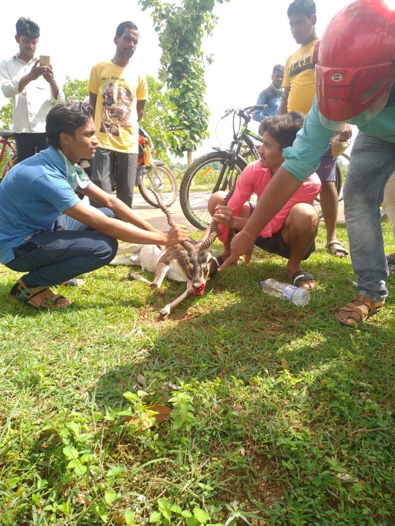 WhatsApp Image 2020-06-11 at 5.56.04 PM