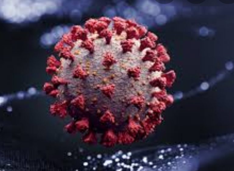 WhatsApp Image 2020-06-27 at 4.02.06 PM