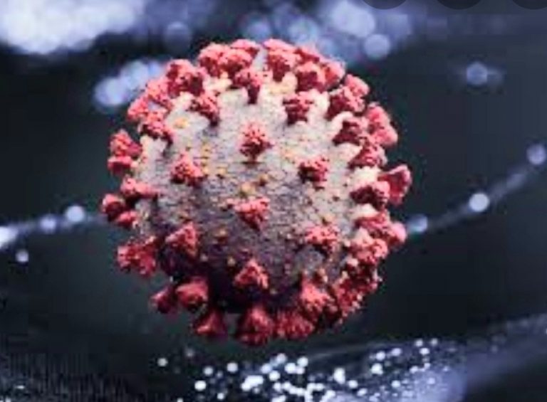 WhatsApp Image 2020-07-04 at 11.33.24 AM