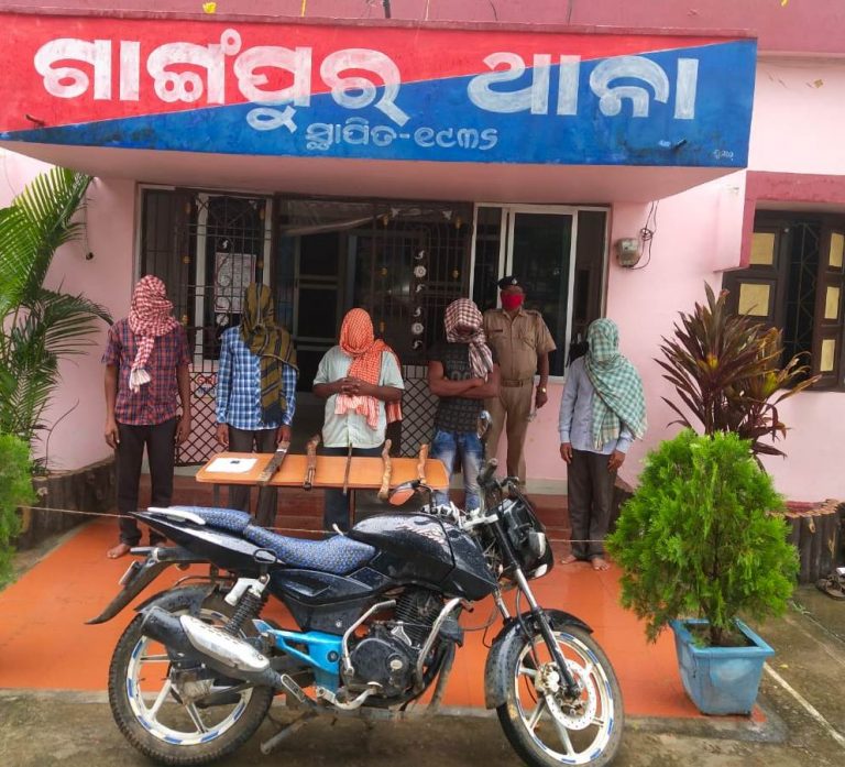 WhatsApp Image 2020-07-06 at 8.42.42 PM