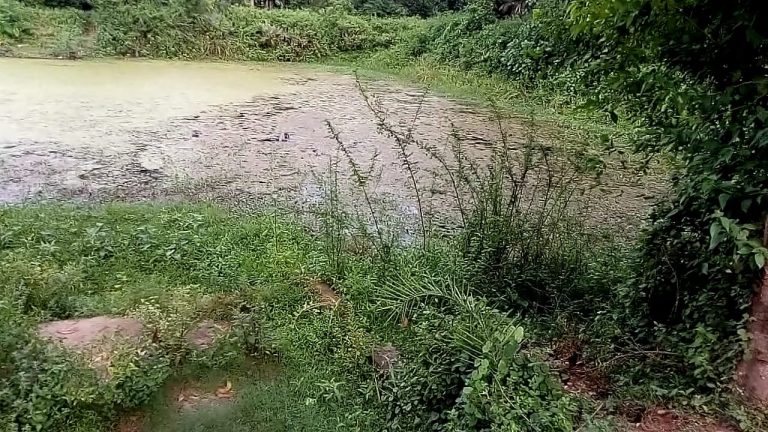 WhatsApp Image 2020-07-20 at 12.36.48 PM