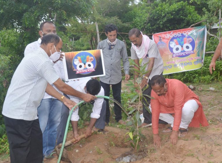 WhatsApp Image 2020-07-22 at 12.46.35 PM