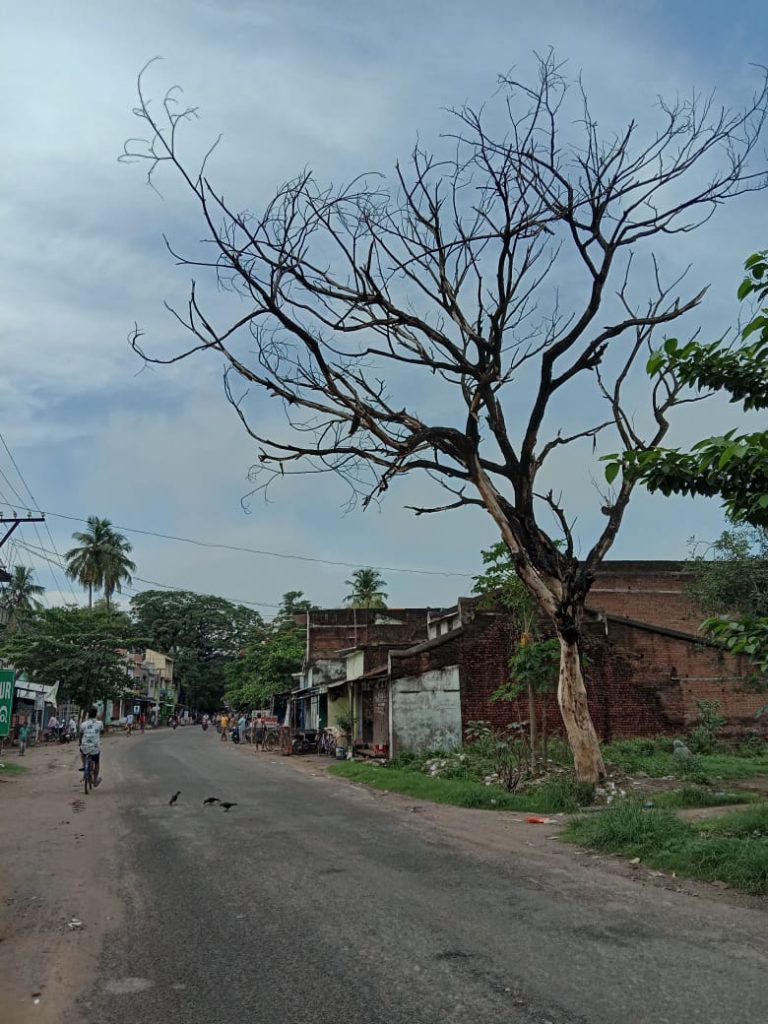 WhatsApp Image 2020-07-26 at 10.10.52 AM