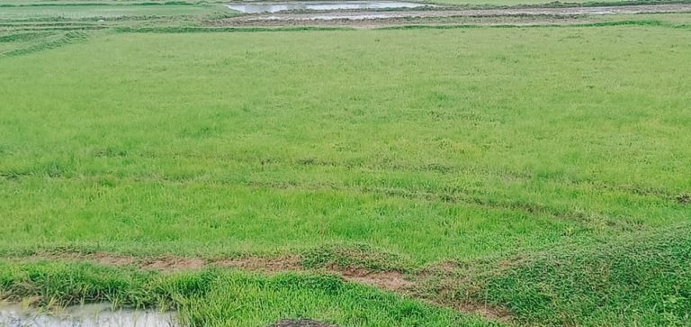 eaeaeaa4e16acce45d13427de03bc149f01dca16d9b765800a211842988e1d91_1