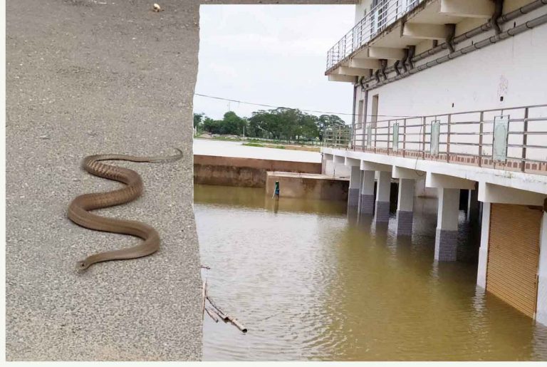 17410ea5baa3437fcfa239348f85c78b430ac2f1383c8a95a07fa049149de93a_1