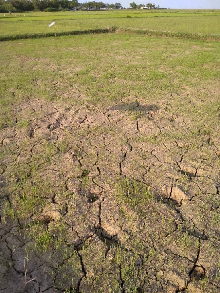 32c5d5679e4f393e6303b28571b86ab796ec772f7187ff16862bdb33cc50d5ad_1