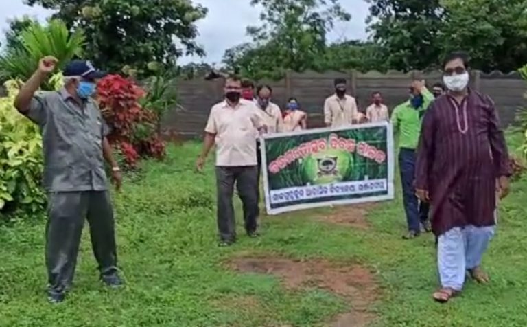 WhatsApp Image 2020-08-16 at 8.05.29 PM