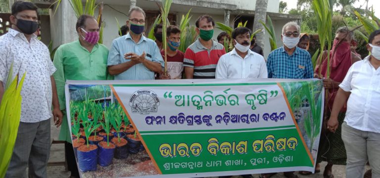 WhatsApp Image 2020-08-17 at 11.30.02 AM