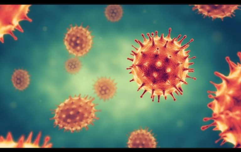 WhatsApp Image 2020-08-20 at 8.51.39 AM