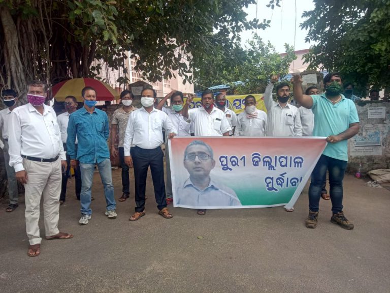 WhatsApp Image 2020-08-22 at 8.00.48 AM