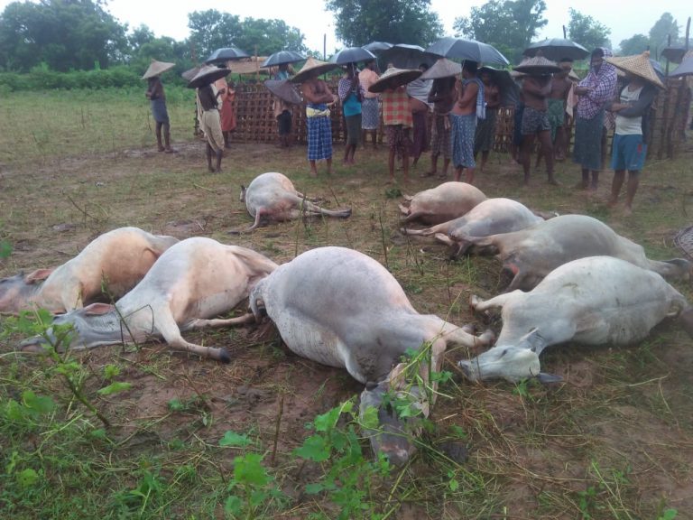 WhatsApp Image 2020-09-02 at 7.07.50 AM