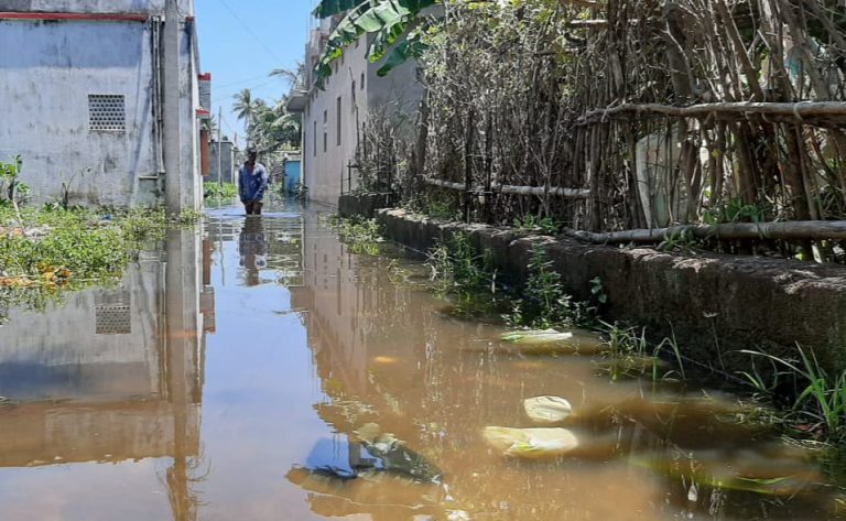 WhatsApp Image 2020-09-07 at 10.13.55 AM (1)