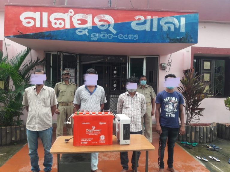 WhatsApp Image 2020-09-14 at 10.08.19 PM