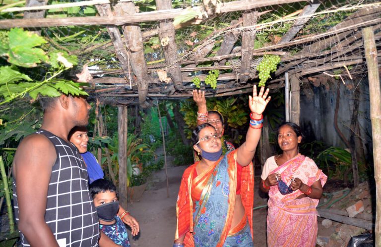 WhatsApp Image 2020-09-14 at 8.54.32 PM (1)