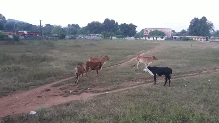 770bae33f70f112e2b4c557b2d439728724011c114eeb319b78379f6bb0f91b1_1