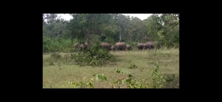 79bfa971f2d5c7f147f63a3023d6fbf42f1db1f9980f2c86c53ed701e7cdcab8_1