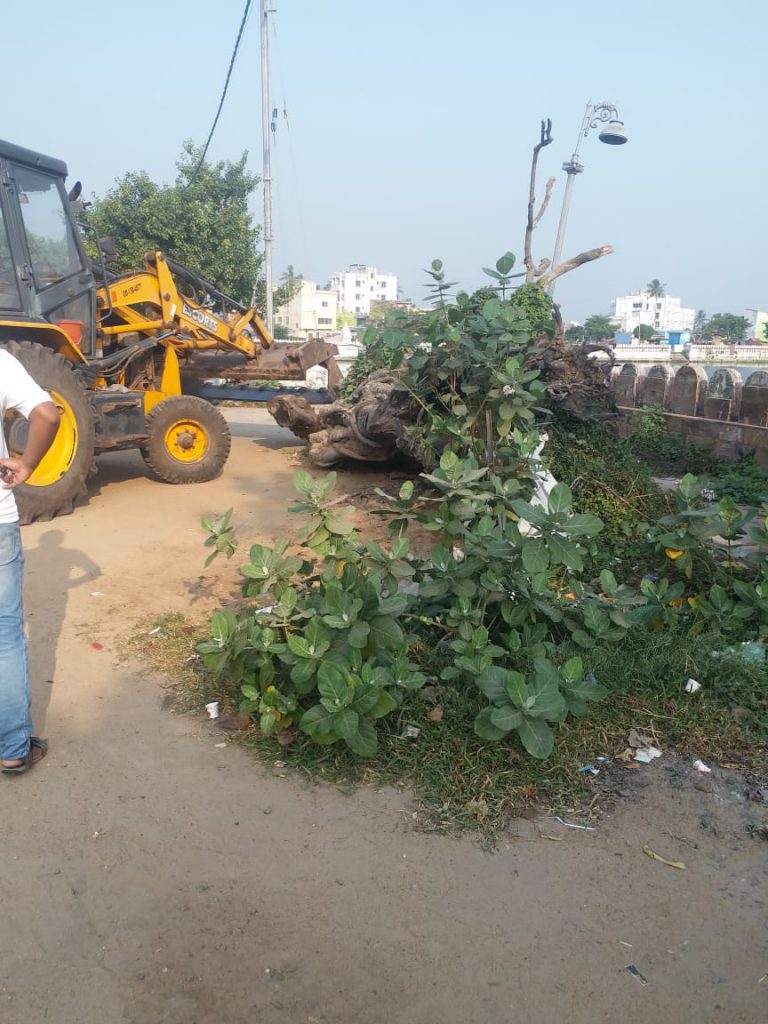 WhatsApp Image 2020-11-03 at 8.20.41 AM