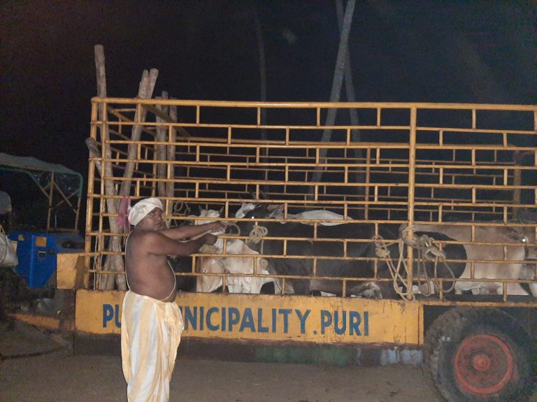 WhatsApp Image 2020-11-21 at 8.42.14 PM