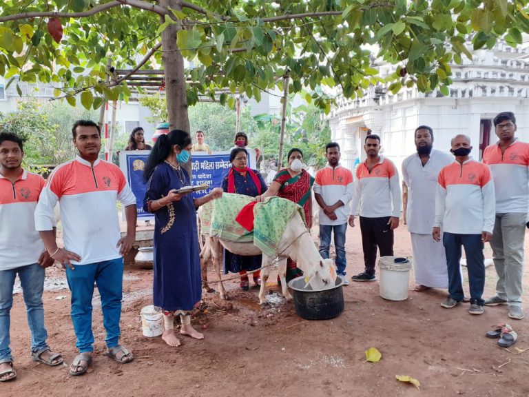 WhatsApp Image 2020-11-22 at 2.04.08 PM