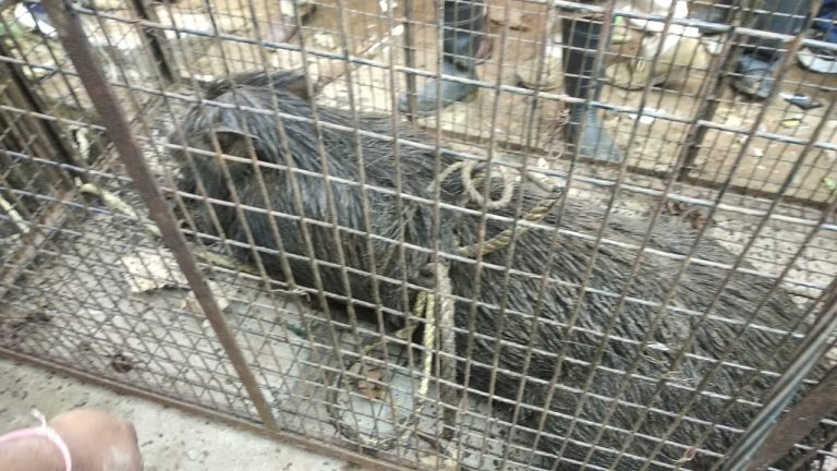 432065e2d22099f2e69ab66d0b4620be2d781b97dea7702db50146238c20720f_1