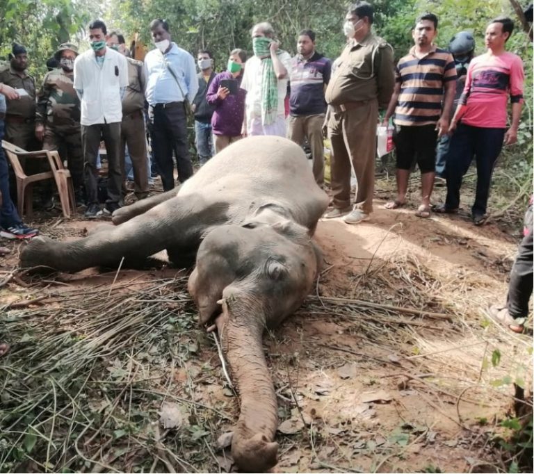 WhatsApp Image 2020-12-04 at 9.52.43 AM