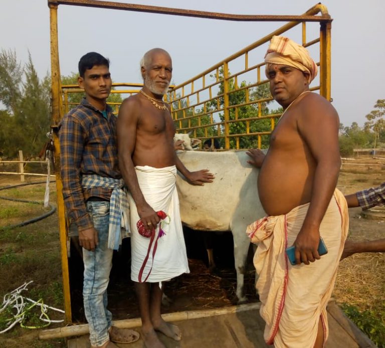 WhatsApp Image 2020-12-28 at 11.25.53 AM