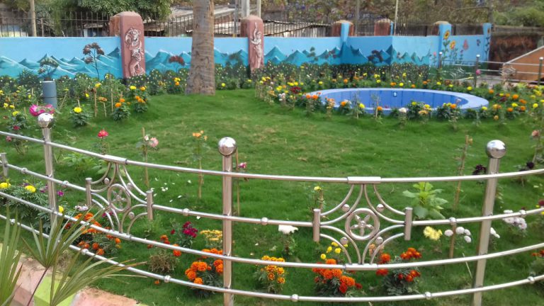 WhatsApp Image 2021-01-24 at 7.33.40 PM