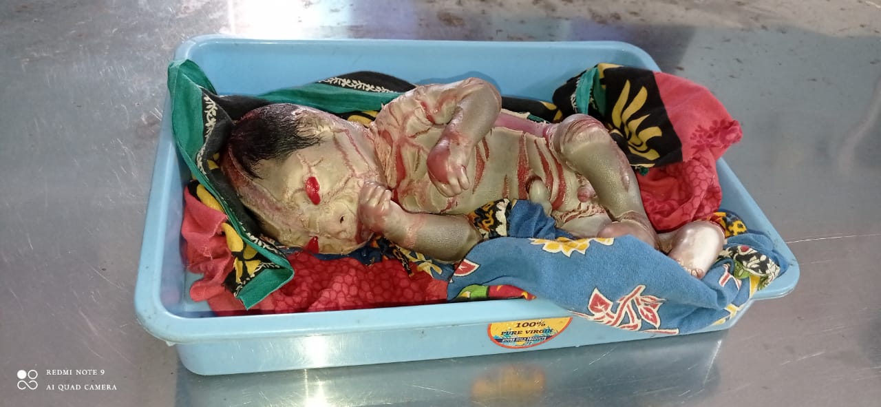 WhatsApp Image 2021-10-05 at 3.15.26 PM