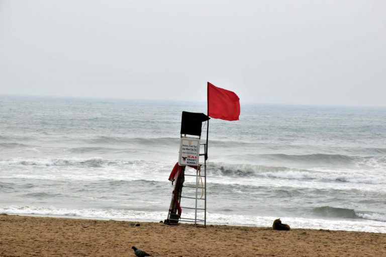 WhatsApp Image 2021-12-04 at 9.08.51 PM