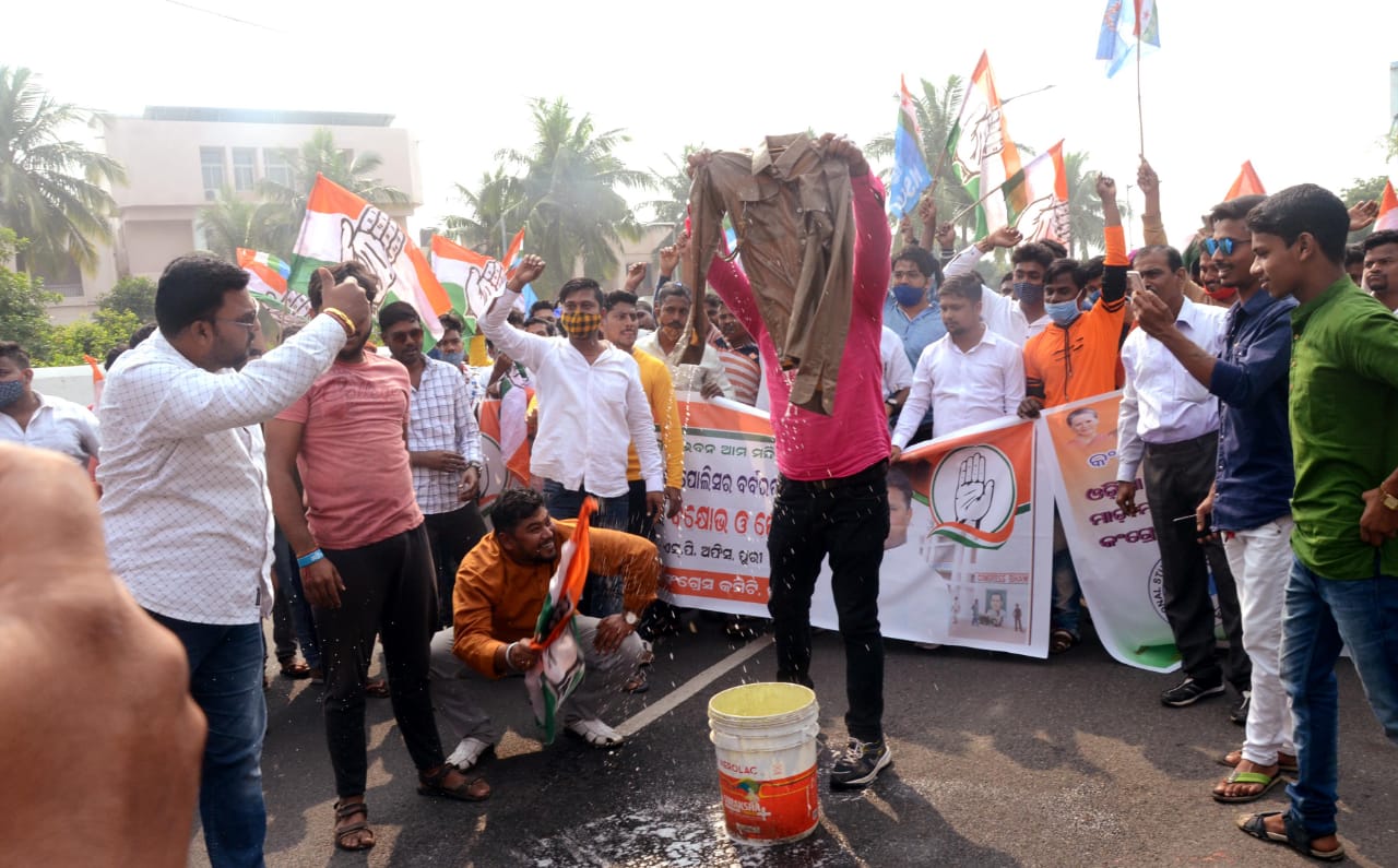 WhatsApp Image 2021-12-14 at 7.52.15 PM