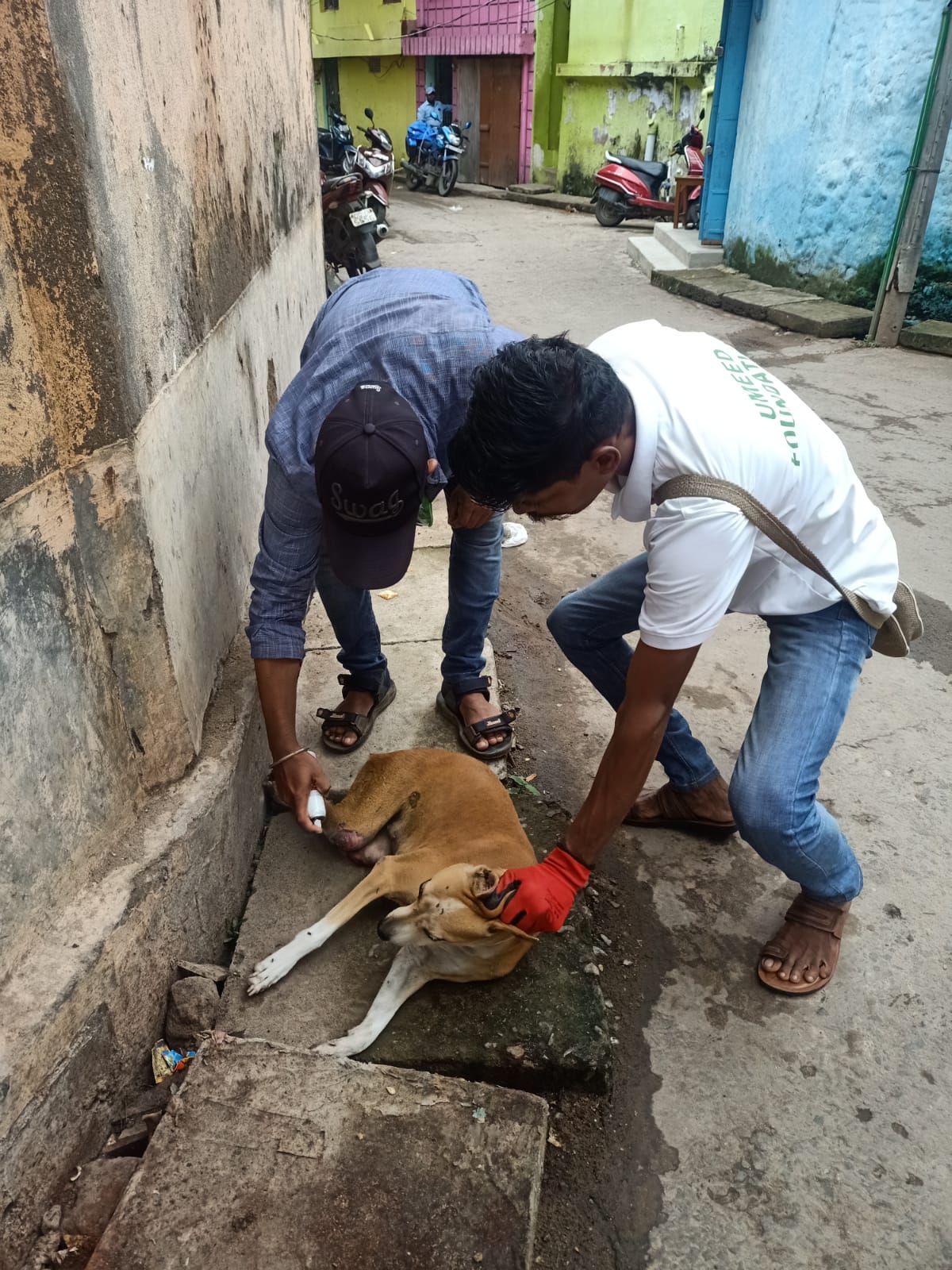 WhatsApp Image 2022-09-19 at 10.41.59 AM