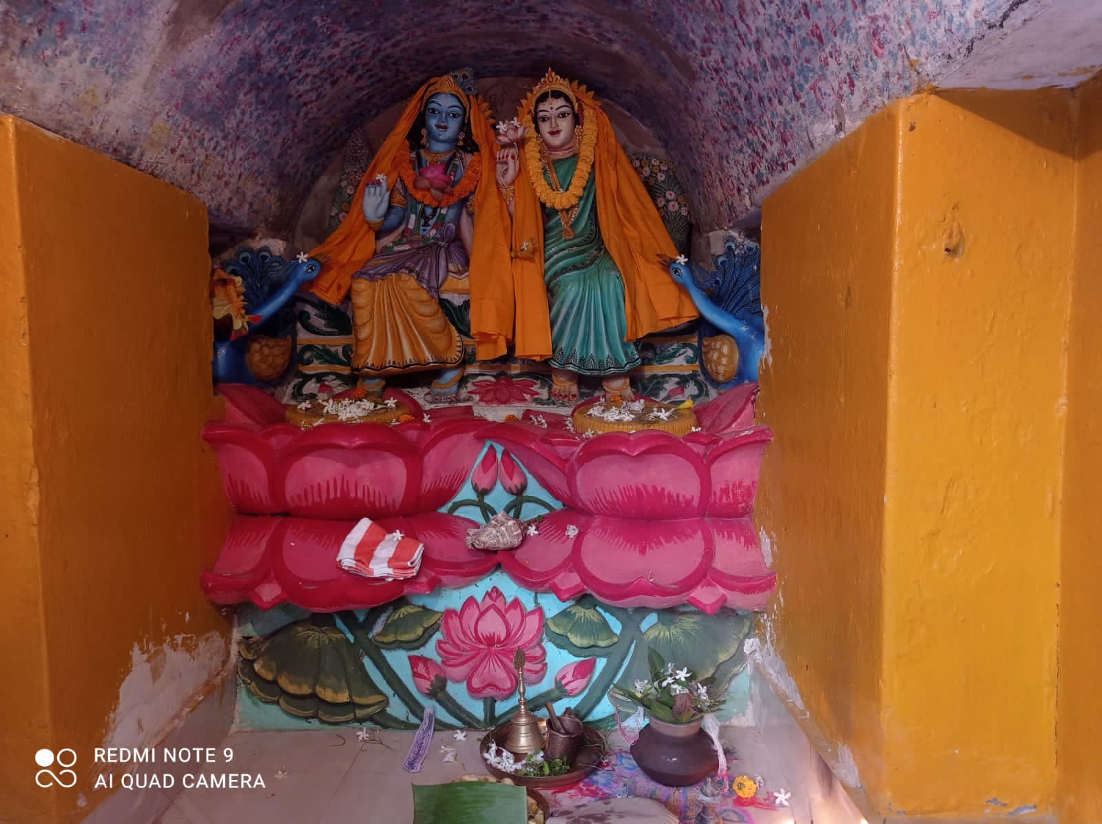 WhatsApp Image 2022-11-02 at 7.12.42 PM