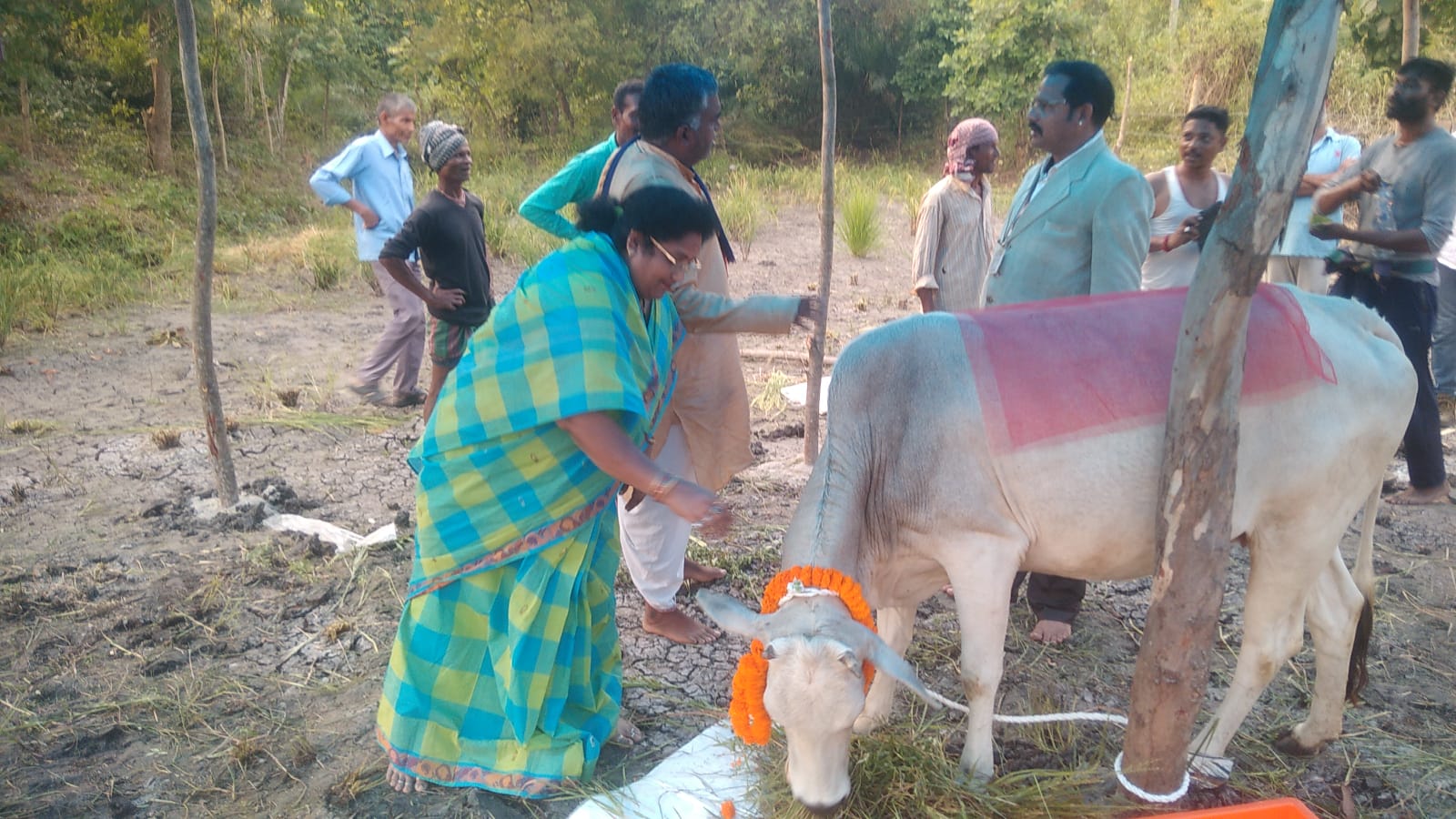 WhatsApp Image 2022-11-03 at 9.18.51 PM