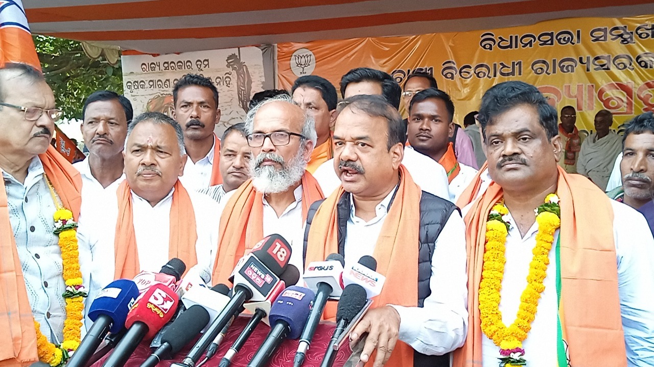 WhatsApp Image 2022-11-25 at 6.56.19 PM (1)