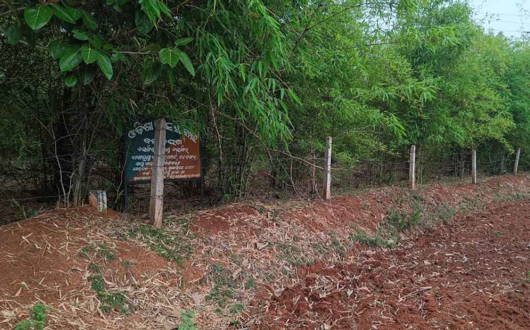 44c45a064f76119056fbb661e6f40a74_725661368