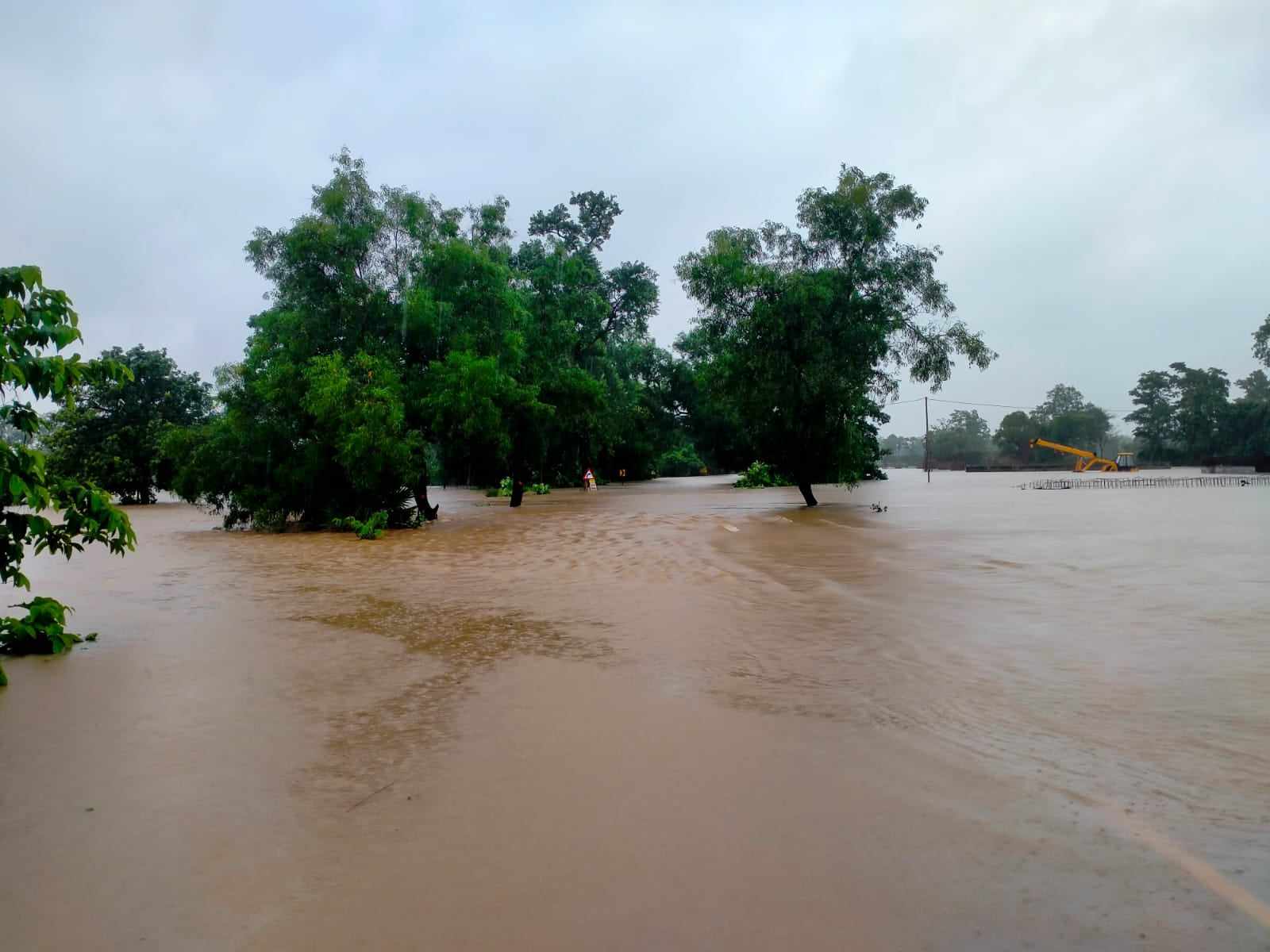 bf7cb23d6edf700ed37d78309039a69f_1592072082